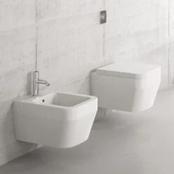 Bagnoexpert Sanitari Sospesi Aliseo Con Copri Wc A Discesa Rallentata