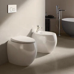 Coppia Di Sanitari Filomuro Con Wc Senza Brida Modello Cloud Di Rak Ceramics Compreso Coprivaso Cm 56