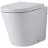 Hudson Reed Alswear Sanitario WC Ovale Con Sedile Copri Water Soft-Close – 355 X 410 X 565 Mm