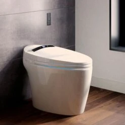 TOILETTE WC GIAPPONESE INTELLIGENTE NASHI EIRA NEW